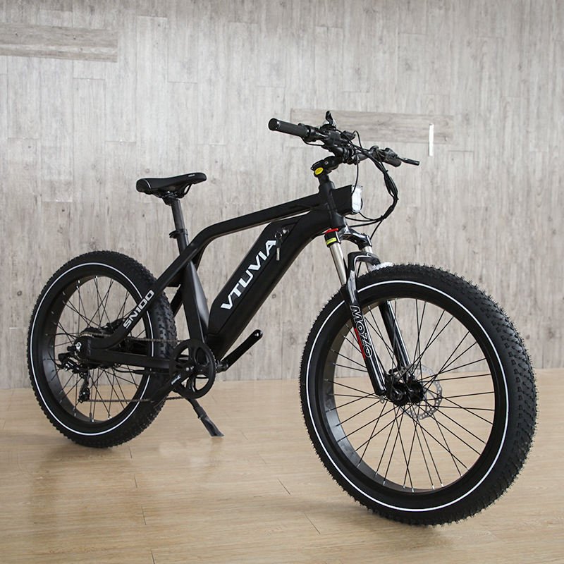 264.0 750W 1000W Hochleistungs-Fett-Elektro Mountainbike E Bike Schneewinde CE Elektro-Fahrrad